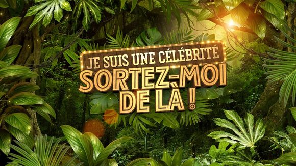 Audiences : "La Stagiaire" leader, "Je suis une célébrité" s'achève dans l'indifférence, M6 s'impose sur les ménagères
