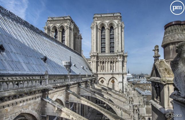 La cathédrale Notre-Dame de Paris en 2013