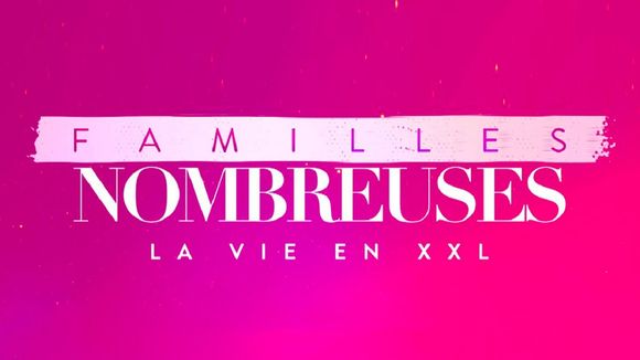 Audiences : Records pour "Familles nombreuses" et "Les plus belles vacances" sur TF1