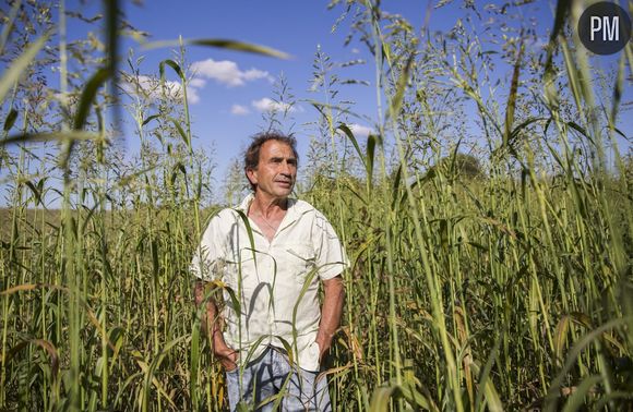 "L'amour est dans le pré"