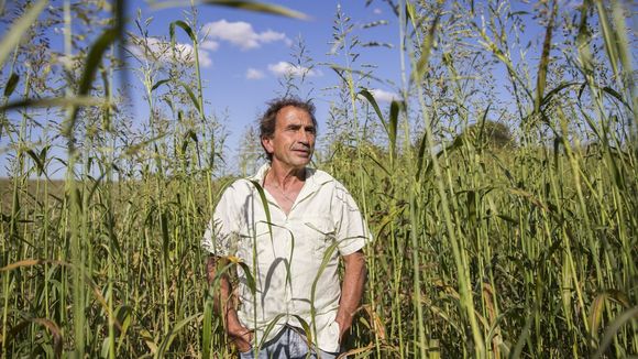 Audiences : "L'amour est dans le pré" leader de retour en baisse, "Clem" battue par "La Garçonne" sur France 2