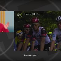 Supportrice à la pancarte "retrouvée" : Laurent Luyat piégé par une fausse information de Twitter