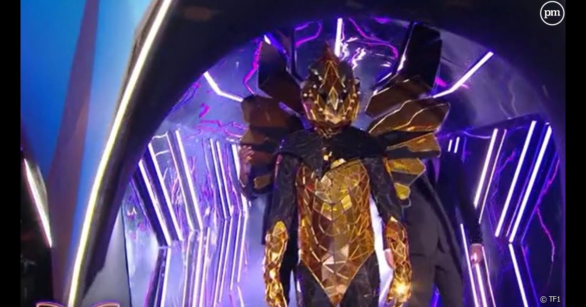 "Mask Singer" 2024 Qui se cache derrière l'Avatar, le deuxième