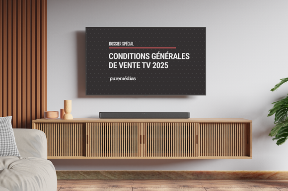 Les régies publicitaires des groupes de TV dévoilent leurs conditions générales de vente pour 2025.