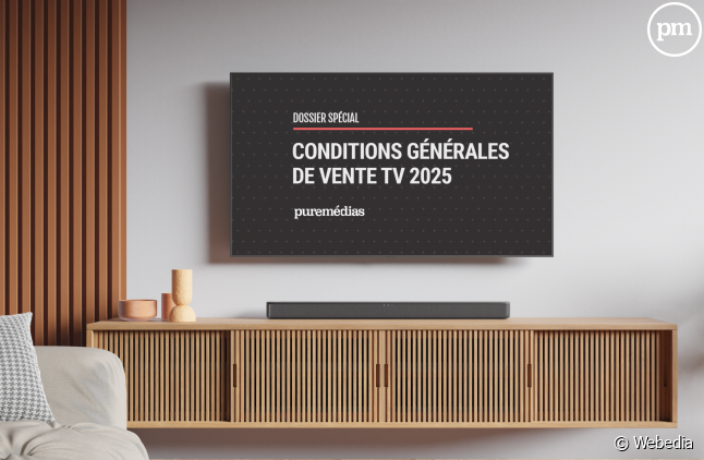 Les régies publicitaires des groupes de TV dévoilent leurs conditions générales de vente pour 2025.