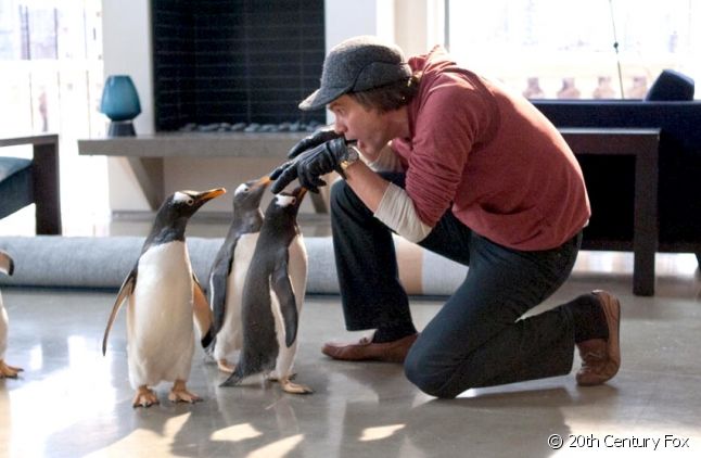 Jim Carrey dans "M. Popper et ses Pingouins"