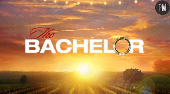 "The Bachelor"