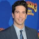 David Schwimmer retrouve Lisa Kudrow dans "Web Therapy"