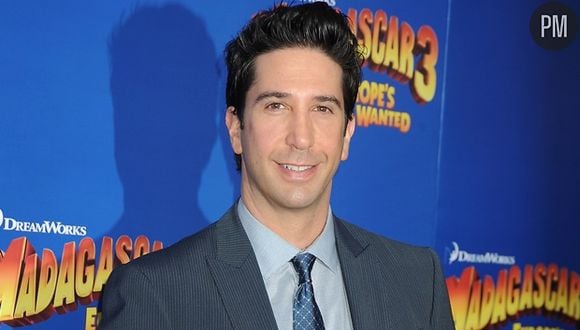 David Schwimmer