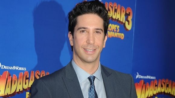 David Schwimmer retrouve Lisa Kudrow dans "Web Therapy"