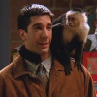 "Friends" : pourquoi le singe Marcel a-t-il été viré ?