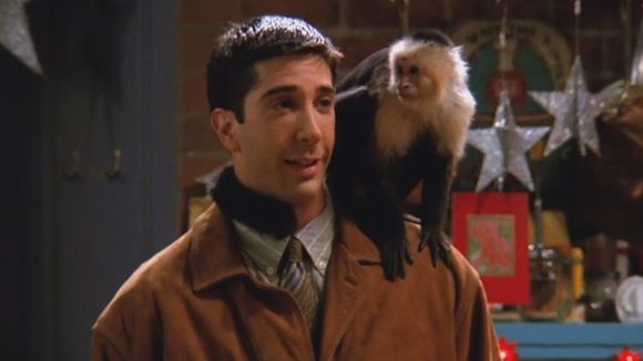 "Friends" : pourquoi le singe Marcel a-t-il été viré ?