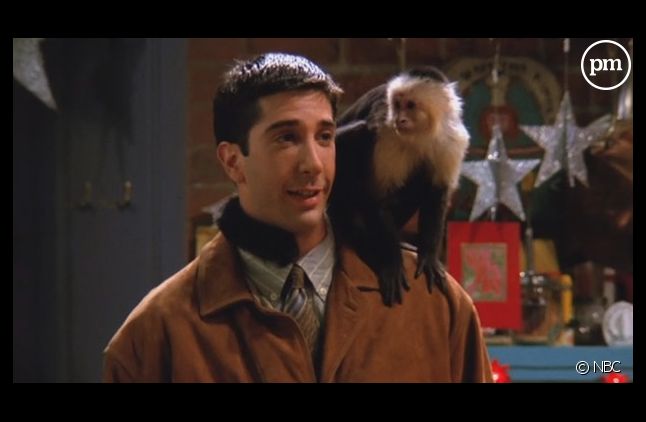 Le tournage de la série "Friends" avec le capucin Marcel a été très difficile