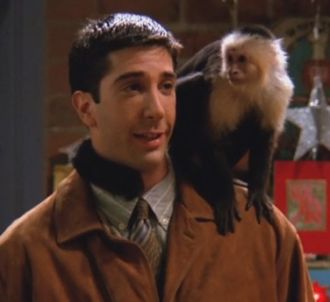 Le tournage de la série 'Friends' avec le capucin Marcel...
