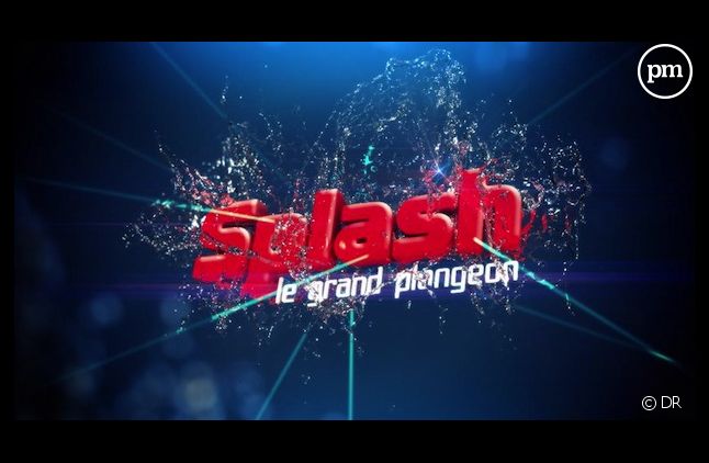 TF1 a dévoilé le jury de "Splash ! Le grand plongeon"