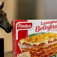 Viande de cheval : Findus demande la modification de certains articles de presse