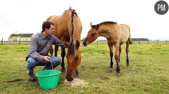 Thomas de "L'Amour est dans le pré" dément avoir laissé agoniser son cheval