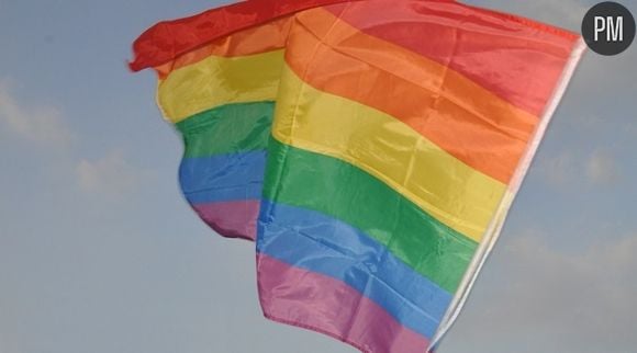 Le "rainbow flag"