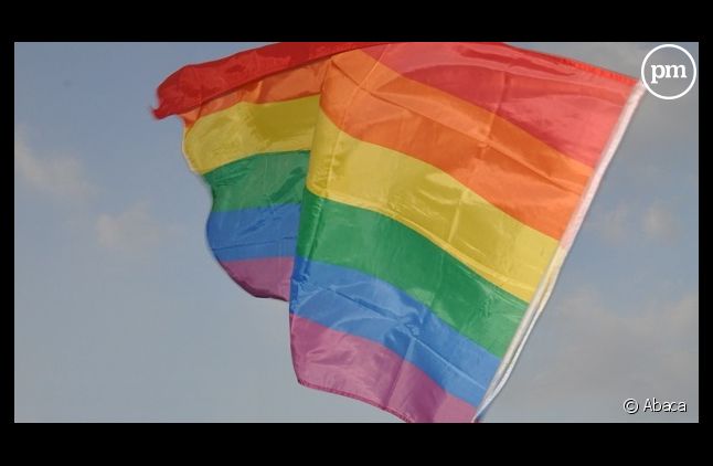 Le "rainbow flag"