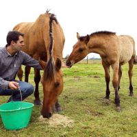 Thomas de "L'Amour est dans le pré" : "J'ai vendu des chevaux pour payer mon avocat !"