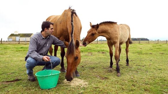 Thomas de "L'Amour est dans le pré" : "J'ai vendu des chevaux pour payer mon avocat !"