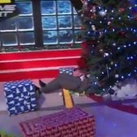 Shaquille O'Neal chute sur le sapin de Noël d'une chaîne américaine