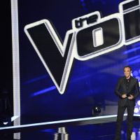 Audiences : "The Voice" leader en baisse devant "Jean Ferrat, le grand show", France 3 bat M6