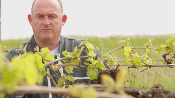 Audiences : "Camping Paradis" leader devant France 2, "ADP : seconde chance" démarre doucement