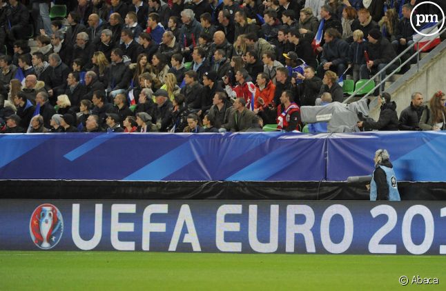 L'Euro 2016 de football sera visible sur beIN Sports, TF1 et M6.