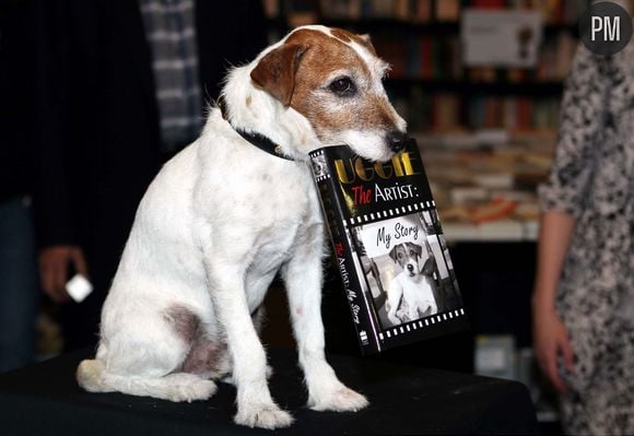 Uggie est décédé à l'âge de 13 ans.