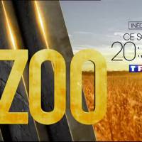 "Zoo" : TF1 dégaine sa nouvelle série en prime ce soir