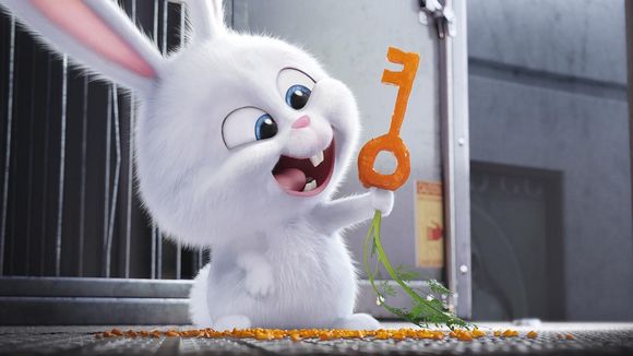 Premières séances : "Comme des bêtes" en tête, "Insaisissables 2" moins fort que le premier