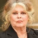 Brigitte Bardot flingue Cyril Hanouna, Nagui, Thierry Ardisson, Vanessa Burggraf...