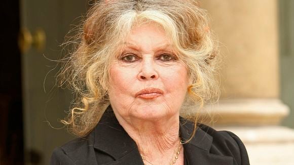 Brigitte Bardot flingue Cyril Hanouna, Nagui, Thierry Ardisson, Vanessa Burggraf...