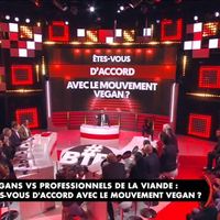 "Balance ton post" : Une militante vegan se précipite brusquement sur Cyril Hanouna