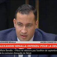 "Leur seul intérêt est de connaître la couleur de mes chaussettes"  : Alexandre Benalla flingue les médias au Sénat