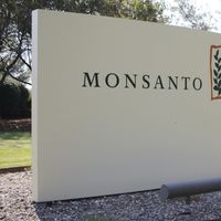 Monsanto aurait secrètement fiché des journalistes français selon France 2