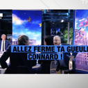 Clash Collard/Cohn-Bendit sur TF1 : Anne-Claire Coudray qualifie la séquence de "naufrage de la politique"