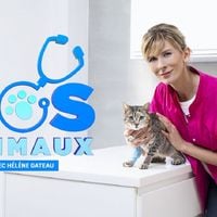 "SOS Animaux" : Hélène Gateau arrive sur 6ter ce soir