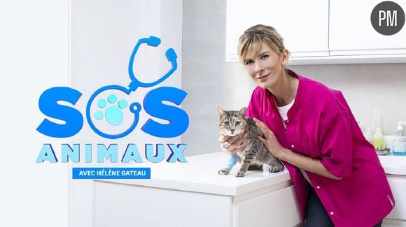 "SOS Animaux"