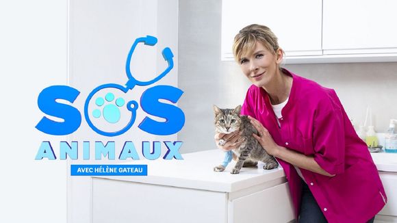 "SOS Animaux" : Hélène Gateau arrive sur 6ter ce soir