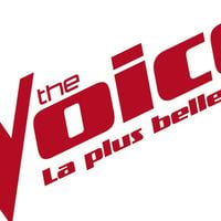 "The Voice" : Une saison bonus pour les 10 ans avec cinq coachs emblématiques sur TF1