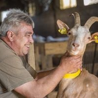 "L'Amour est dans le pré" : Eric a envoyé "64 SMS" à Claudine pour tenter de la reconquérir