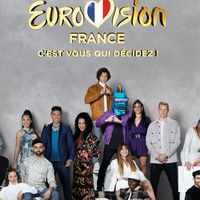 Eurovision 2021 : Le jury et les conditions du vote pour le candidat tricolore dévoilés