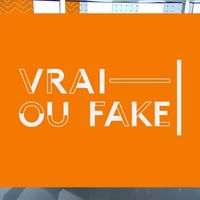 Le CSA demande à France Télévisions de ne plus utiliser "Fake" dans ses titres de programme