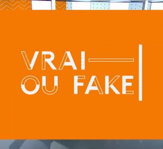 'Vrai ou Fake' sur Franceinfo.
