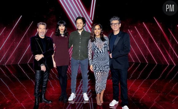 Marc Lavoine, Nolwenn Leroy, Vianney, Amel Bent et Florent Pagny.