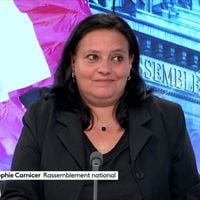 "Je suis désolée, je n'ai pas préparé" : Une candidate RN aux législatives provoque un gros malaise sur France 3