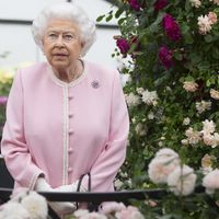 Audiences : Pari gagnant pour la soirée spéciale Elizabeth II de France 2, C8 plus forte que M6