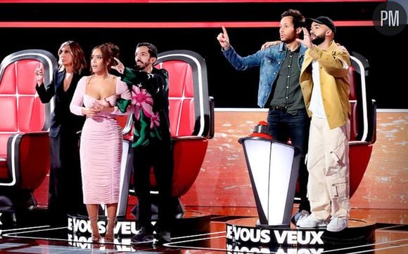 Les coachs de "The Voice" 2023.